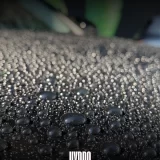 Hydro & Shine - Image 2