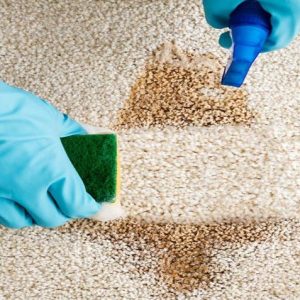 https://wetproofglobal.com/wp-content/uploads/2024/04/carpet-cleaner-300x300.jpg