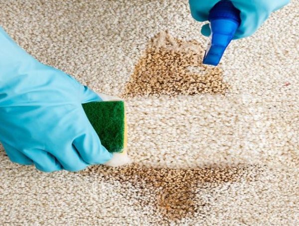 Carpet Cleaner