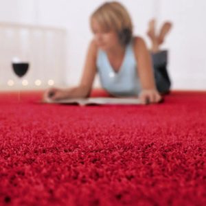 https://wetproofglobal.com/wp-content/uploads/2024/04/carpet-perfume-300x300.jpg