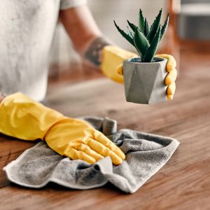 https://wetproofglobal.com/wp-content/uploads/2024/04/dust-cleaner-300x300.jpeg
