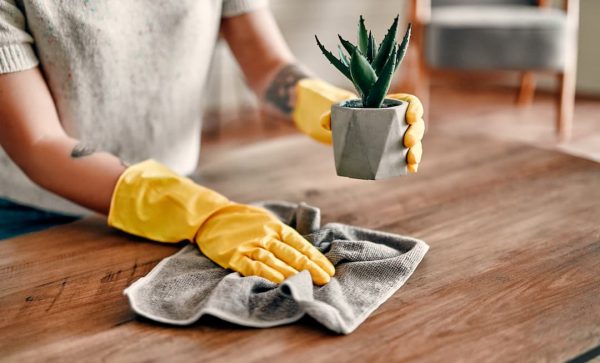 Dust Cleaning Spray