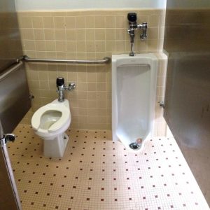 Toilet and Urinal Cleaning