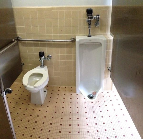 WC and Urinal Cleaners